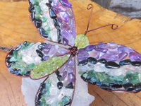 Polished Large Gemstone Butterfly - sold per piece From South Africa - TopRock