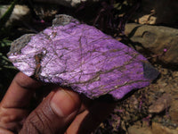 Natural Purpurite Specimens x 10 From Erongo, Namibia - TopRock