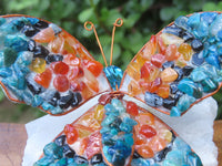 Polished Large Gemstone Butterfly - sold per piece From South Africa - TopRock