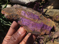 Natural Purpurite Specimens x 10 From Erongo, Namibia - TopRock