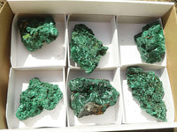 Natural Chatoyant Silky Malachite Specimens  x 6 From Kasompe, Congo - Toprock Gemstones and Minerals 