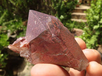 Polished Lovely Selection Of Smokey Quartz Crystals  x 12 From Southern Africa - TopRock