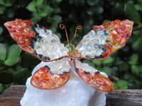 Polished Large Gemstone Butterfly - sold per piece From South Africa - TopRock