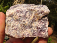 Natural Rough Purple Lepidolite Specimens  x 6 From Namibia - Toprock Gemstones and Minerals 