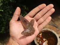 Polished Lovely Selection Of Smokey Quartz Crystals  x 12 From Southern Africa - TopRock