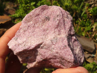 Natural Rough Purple Lepidolite Specimens  x 6 From Namibia - Toprock Gemstones and Minerals 