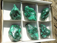 Polished Malachite Free Forms With Stunning Flower & Banding Patterns x 6 From Congo - TopRock