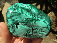 Polished Malachite Free Forms With Stunning Flower & Banding Patterns x 6 From Congo - TopRock