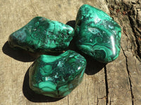 Polished Malachite Free Forms With Stunning Flower & Banding Patterns x 6 From Congo - TopRock