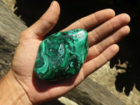 Polished Malachite Free Forms With Stunning Flower & Banding Patterns x 6 From Congo - TopRock