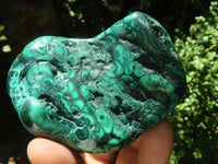 Polished Malachite Free Forms With Stunning Flower & Banding Patterns x 6 From Congo - TopRock