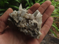 Natural Drusy Quartz Coated Calcite Pseudomorph Specimens  x 12 From Alberts Mountain, Lesotho - TopRock