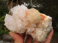 Natural White Spirit Cactus Quartz Clusters  x 6 From Boekenhouthoek, South Africa - Toprock Gemstones and Minerals 