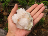 Natural White Spirit Cactus Quartz Clusters  x 6 From Boekenhouthoek, South Africa - Toprock Gemstones and Minerals 