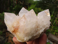 Natural White Spirit Cactus Quartz Clusters  x 6 From Boekenhouthoek, South Africa - Toprock Gemstones and Minerals 