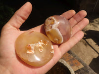 Polished Coral Flower Agate Palm Stones  x 12 From Madagascar - TopRock