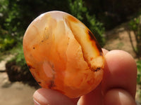 Polished Coral Flower Agate Palm Stones  x 12 From Madagascar - TopRock