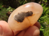 Polished Coral Flower Agate Palm Stones  x 12 From Madagascar - TopRock