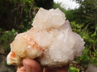 Natural White Spirit Cactus Quartz Clusters  x 6 From Boekenhouthoek, South Africa - Toprock Gemstones and Minerals 