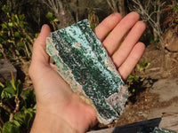 Natural Drusy Chrysocolla & Malachite Dolomite Specimens x 4 From Likasi, Congo