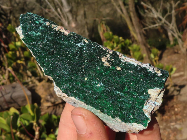 Natural Drusy Chrysocolla & Malachite Dolomite Specimens x 4 From Likasi, Congo