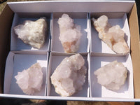 Natural White Cactus Flower Spirit Quartz Specimens  x 6 From Boekenhouthoek, South Africa - Toprock Gemstones and Minerals 