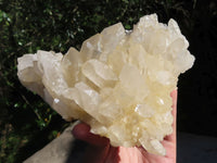 Natural Fairly Large Optic to Semi Optic Quartz Clusters x 2 From Serenje, Zambia - TopRock