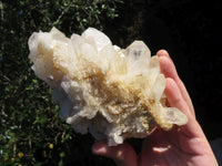 Natural Fairly Large Optic to Semi Optic Quartz Clusters x 2 From Serenje, Zambia - TopRock