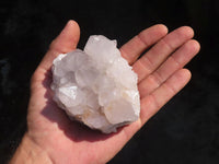 Natural White Cactus Flower Spirit Quartz Specimens  x 6 From Boekenhouthoek, South Africa - Toprock Gemstones and Minerals 