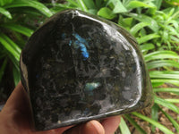 Polished Labradorite Standing Free Forms With Blue & Gold Flash  x 2 From Tulear, Madagascar - TopRock