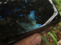 Polished Labradorite Standing Free Forms With Blue & Gold Flash  x 2 From Tulear, Madagascar - TopRock