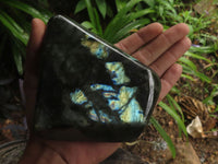 Polished Labradorite Standing Free Forms With Blue & Gold Flash  x 2 From Tulear, Madagascar - TopRock