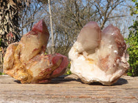 Natural Red Hematoid Phantom Quartz Specimens x 2 From Karoi, Zimbabwe