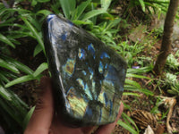 Polished Labradorite Standing Free Forms With Blue & Gold Flash  x 2 From Tulear, Madagascar - TopRock