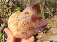 Natural Red Hematoid Phantom Quartz Specimens x 2 From Karoi, Zimbabwe