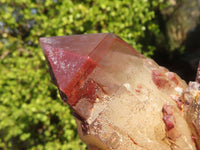 Natural Red Hematoid Phantom Quartz Specimens x 2 From Karoi, Zimbabwe