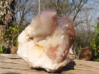 Natural Red Hematoid Phantom Quartz Specimens x 2 From Karoi, Zimbabwe