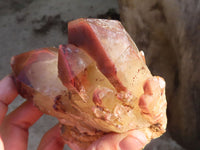 Natural Red Hematoid Phantom Quartz Specimens x 2 From Karoi, Zimbabwe