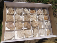 Natural Small Mixed Quartz Clusters With Long Intact Crystals x 24 From Madagascar - TopRock