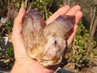 Natural Red Hematoid Phantom Quartz Specimens x 2 From Karoi, Zimbabwe