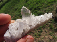 Natural Small Mixed Quartz Clusters With Long Intact Crystals x 24 From Madagascar - TopRock