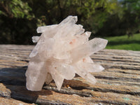 Natural Small Mixed Quartz Clusters With Long Intact Crystals x 24 From Madagascar - TopRock