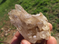 Natural Small Mixed Quartz Clusters With Long Intact Crystals x 24 From Madagascar - TopRock