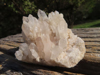 Natural Small Mixed Quartz Clusters With Long Intact Crystals x 24 From Madagascar - TopRock