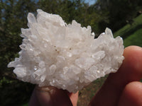 Natural Small Mixed Quartz Clusters With Long Intact Crystals x 24 From Madagascar - TopRock