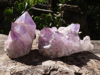 Natural Jacaranda Amethyst Clusters  x 2 From Mumbwa, Zambia - TopRock