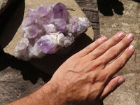 Natural Jacaranda Amethyst Clusters  x 2 From Mumbwa, Zambia - TopRock