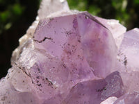 Natural Jacaranda Amethyst Clusters  x 2 From Mumbwa, Zambia - TopRock