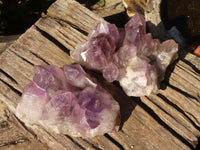 Natural Jacaranda Amethyst Clusters  x 2 From Zambia