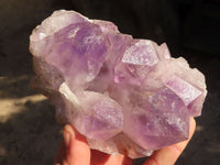 Natural Jacaranda Amethyst Clusters  x 2 From Zambia